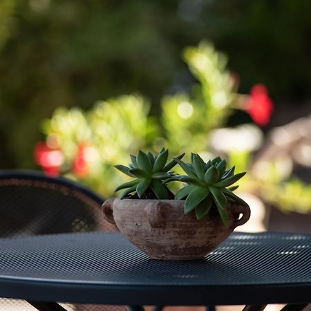 Agriturismo Il Colle 시에나 외부 사진