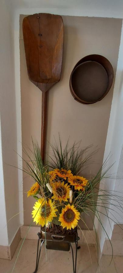 Agriturismo Il Colle 시에나 외부 사진