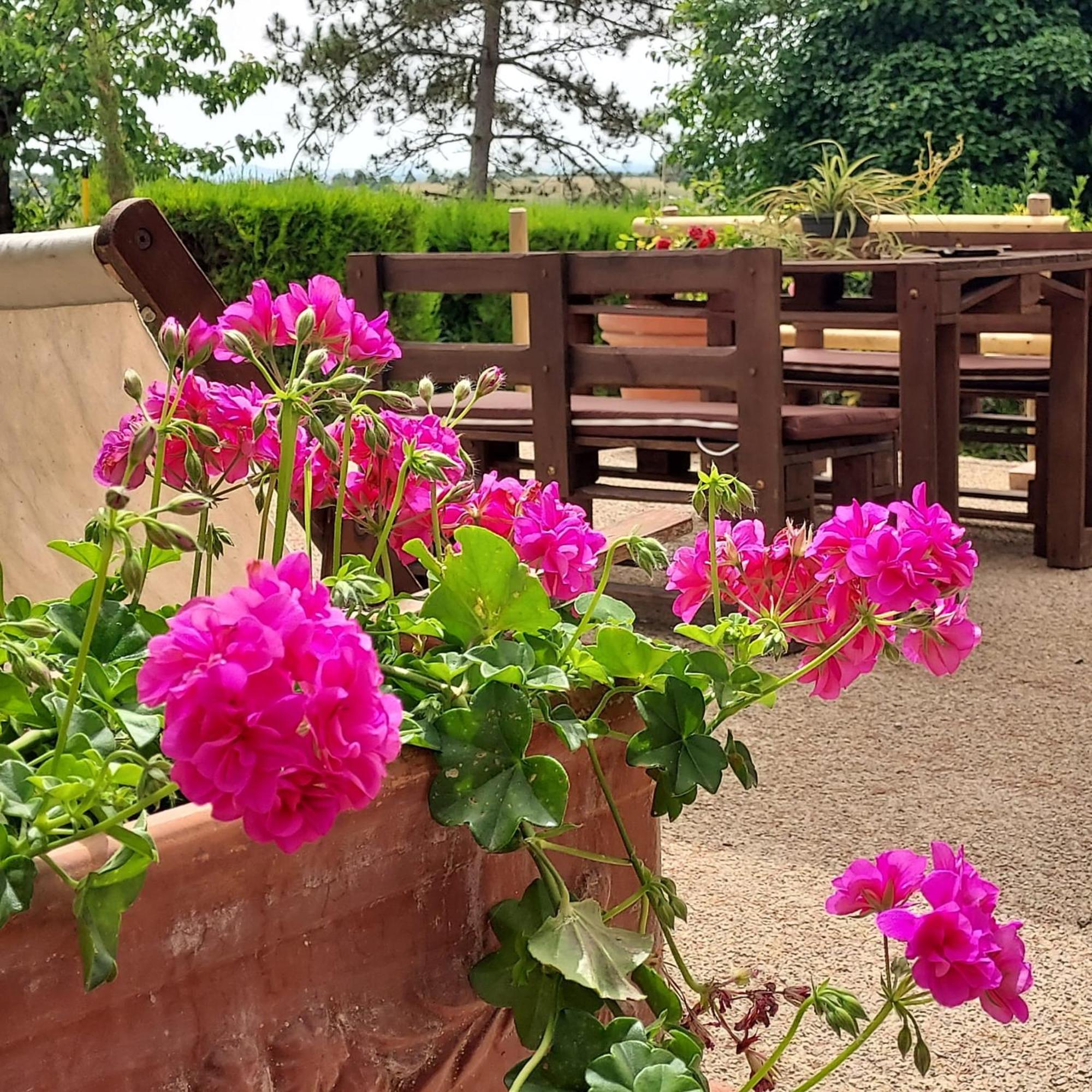 Agriturismo Il Colle 시에나 외부 사진